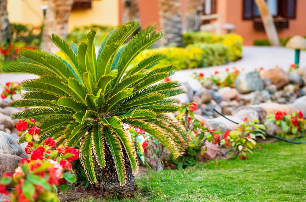Boost Your Curb Appeal This Spring - Top Tips for a Stunning Home Exterior